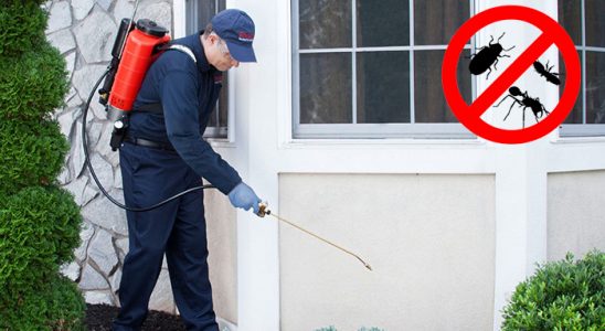 Ordu Tahtakurusu İlaçlama böcek ilaçlama ve haşere kontrolü — ilaclama-tr.com
